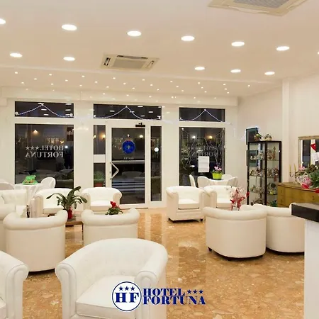 酒店 Fortuna 3*